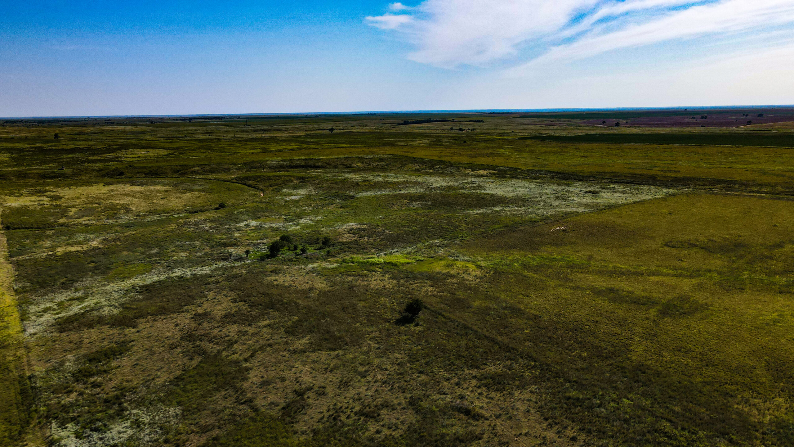 164 Acres – Premier Whitetail Hunting Property | Pratt County, KS