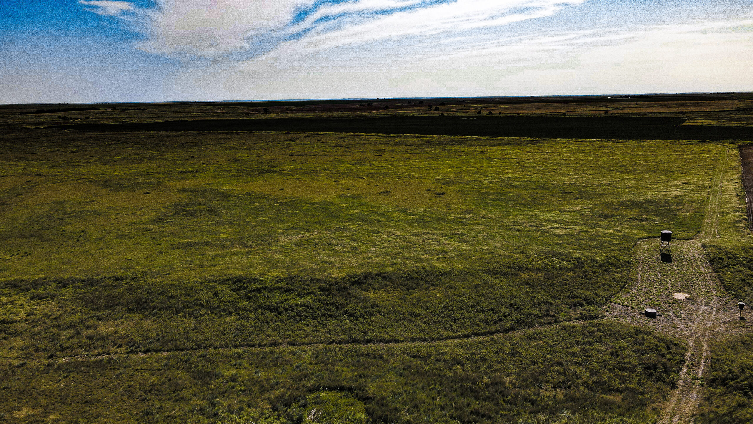 164 Acres – Premier Whitetail Hunting Property | Pratt County, KS