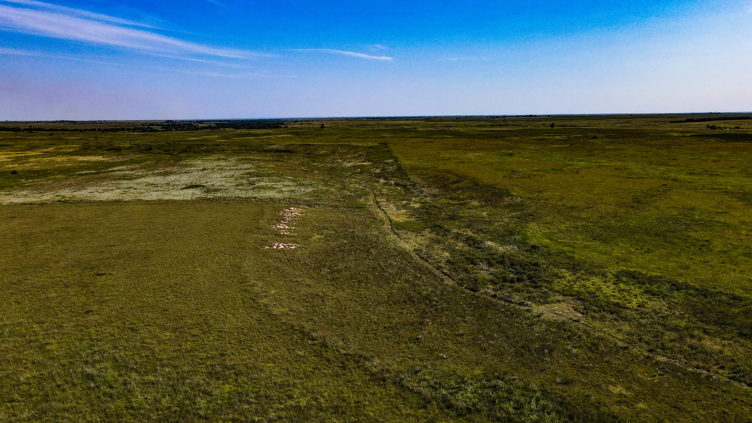 164 Acres – Premier Whitetail Hunting Property | Pratt County, KS