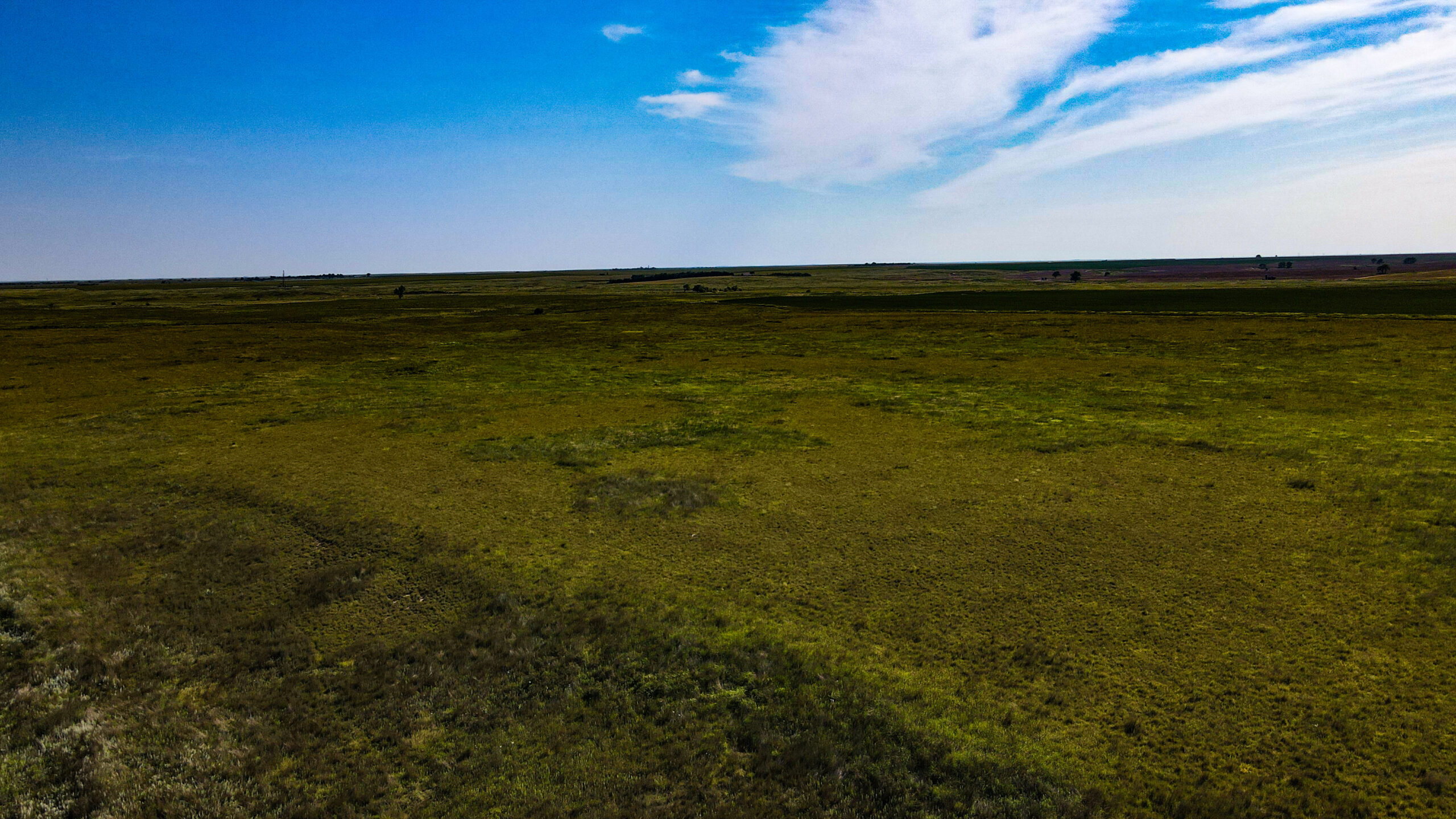 164 Acres – Premier Whitetail Hunting Property | Pratt County, KS