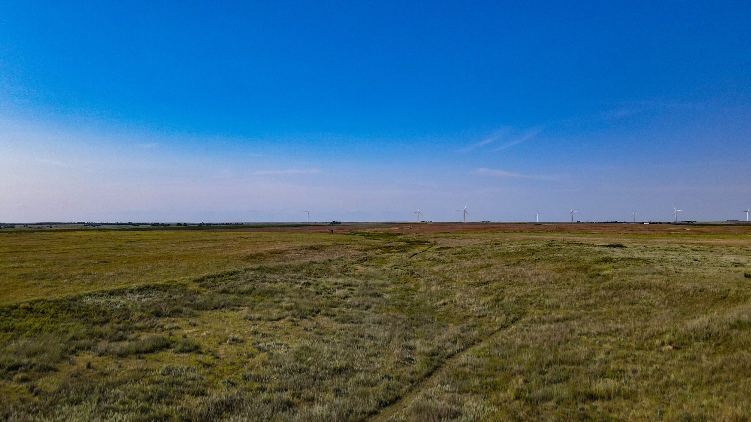 164 Acres – Premier Whitetail Hunting Property | Pratt County, KS