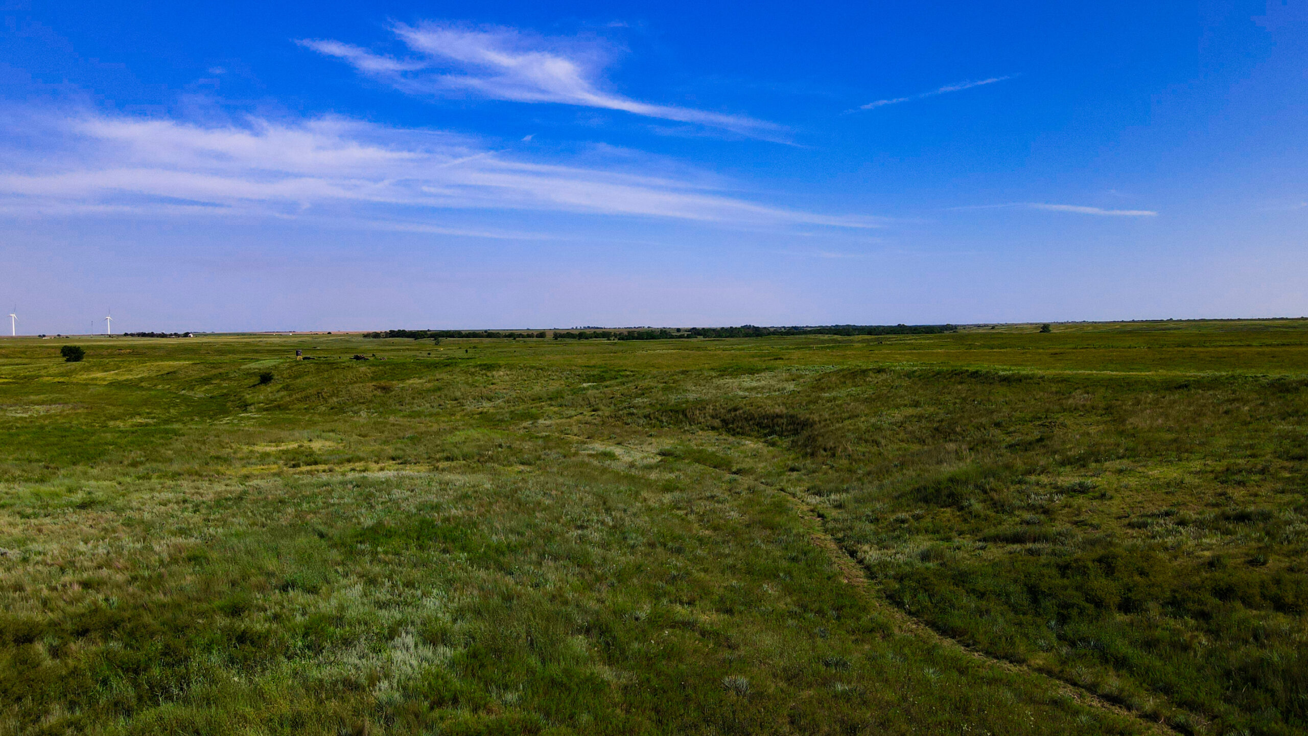 164 Acres – Premier Whitetail Hunting Property | Pratt County, KS