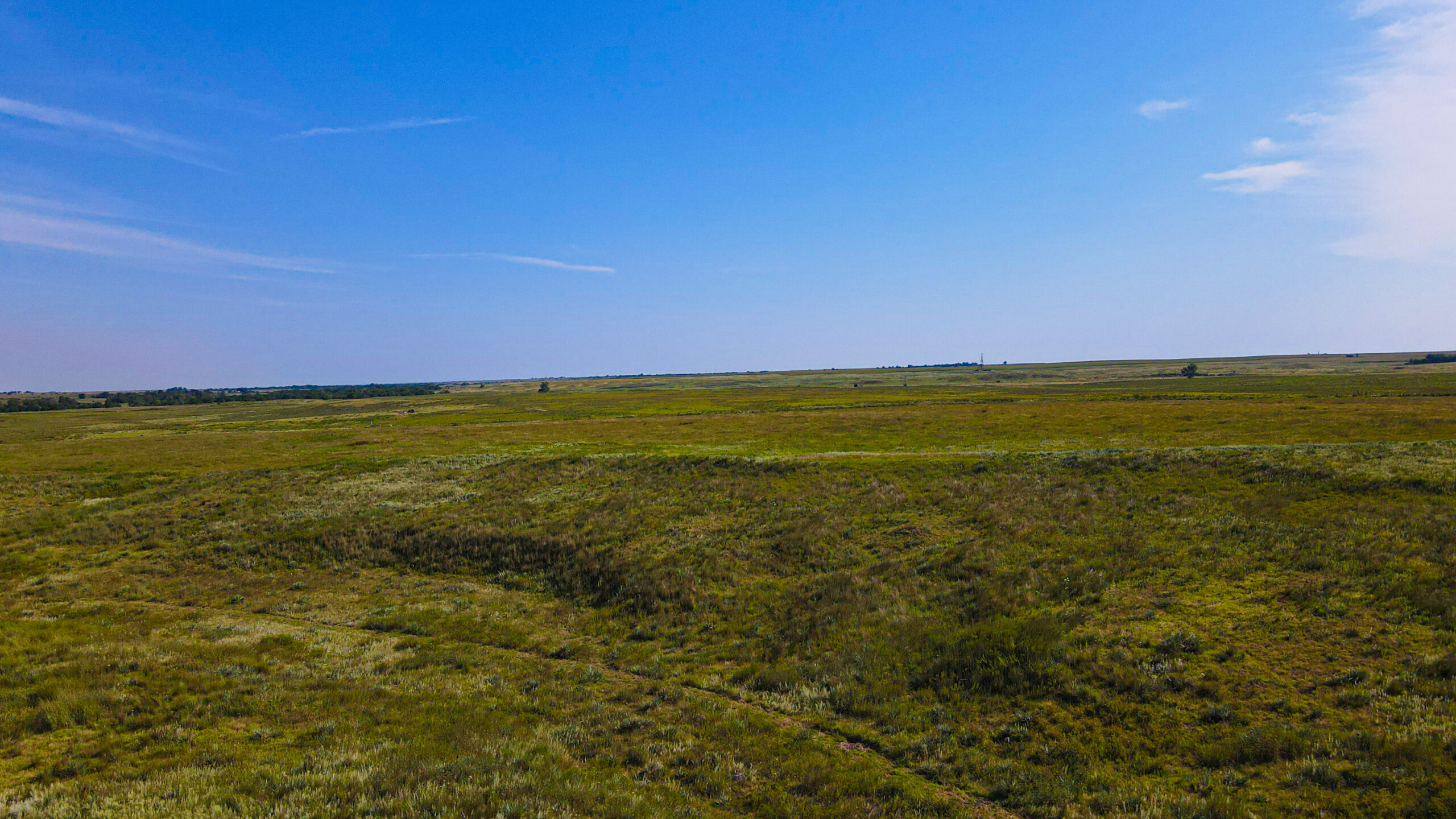 164 Acres – Premier Whitetail Hunting Property | Pratt County, KS