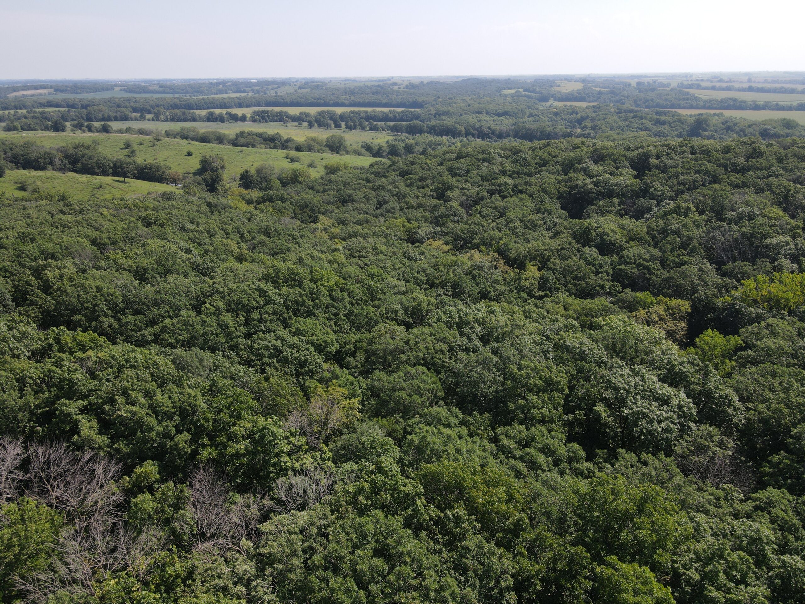 Country Home with 20 m/l acres in Putnam County, MO