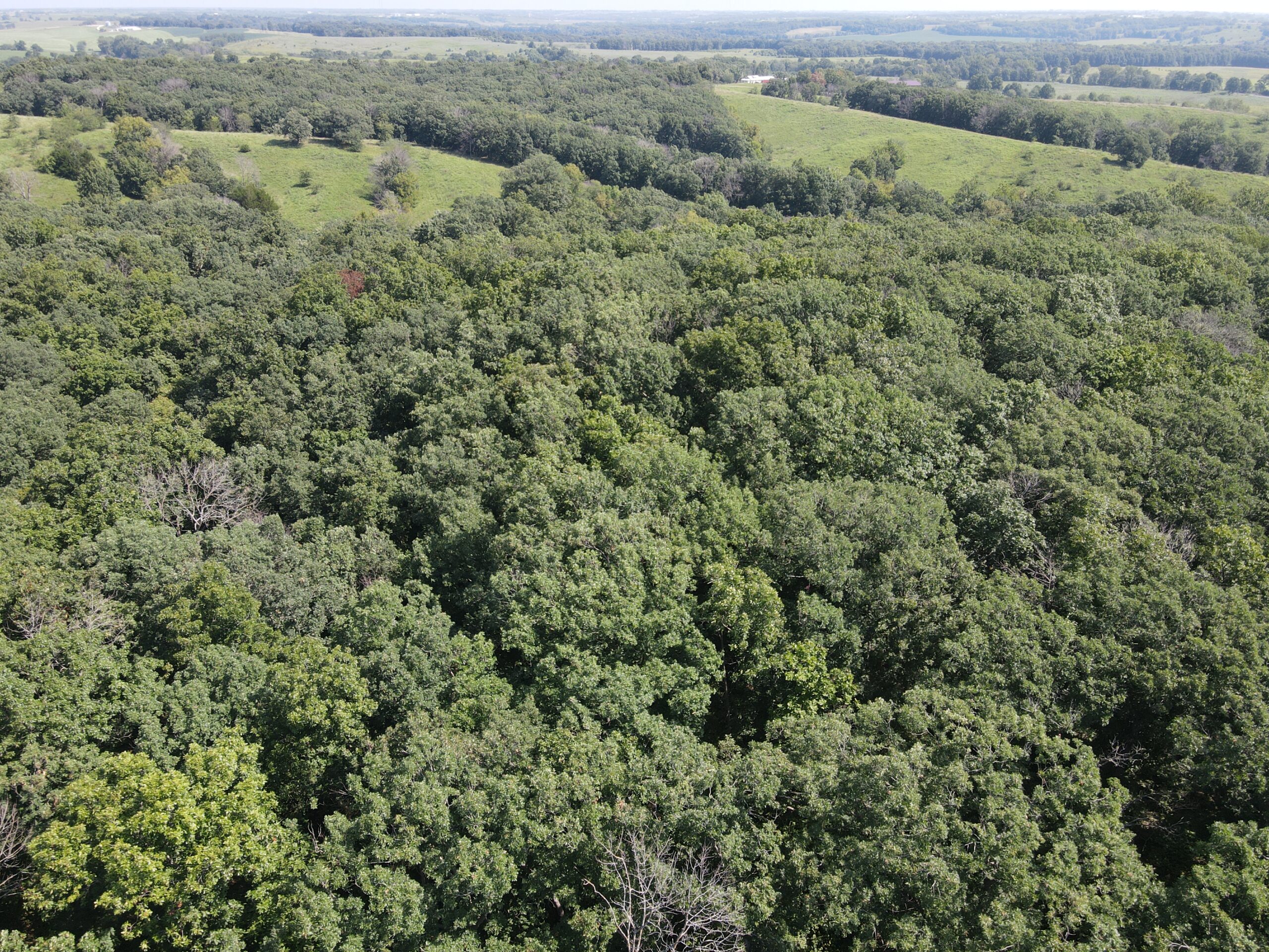 Country Home with 20 m/l acres in Putnam County, MO