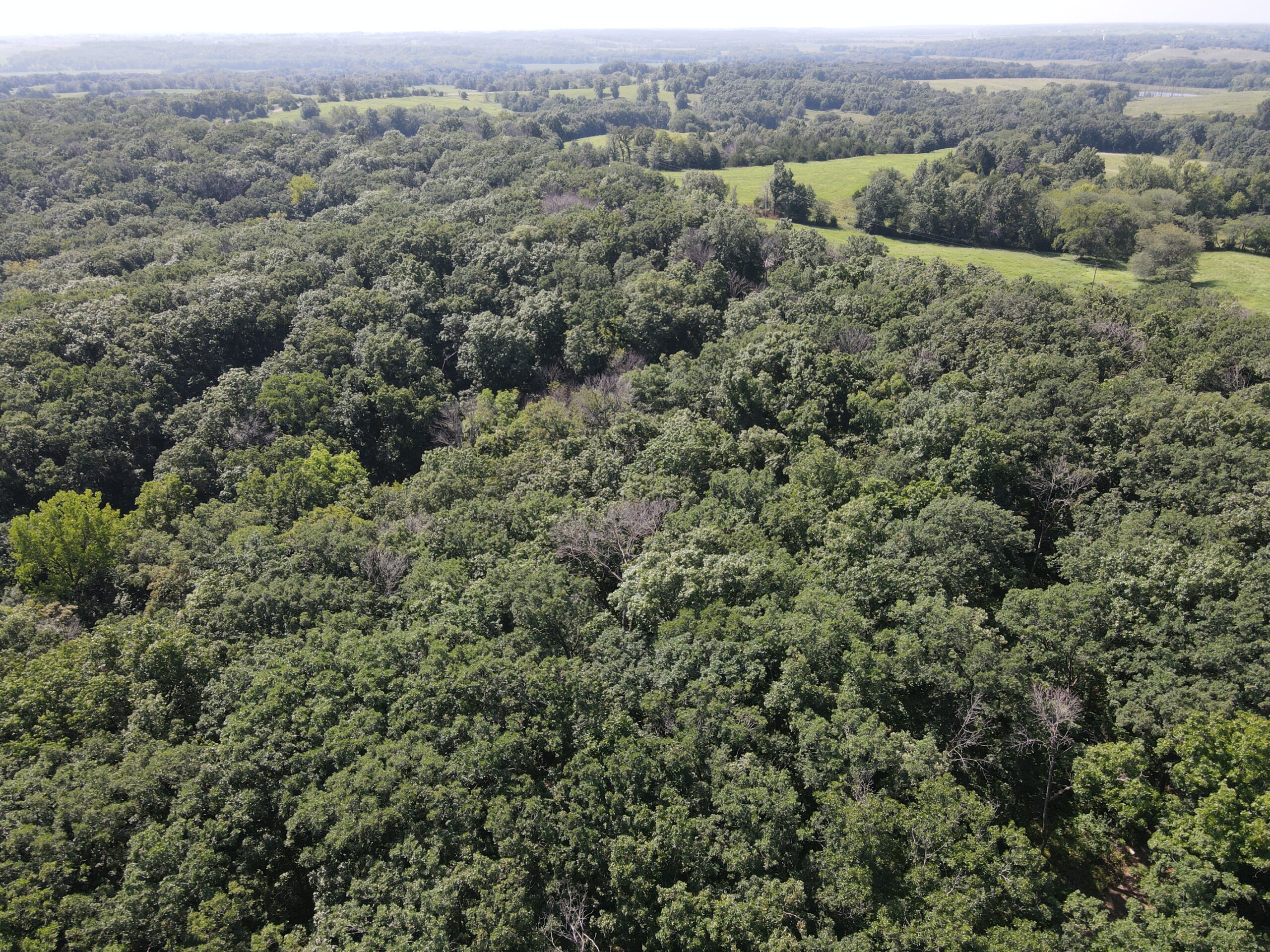 Country Home with 20 m/l acres in Putnam County, MO