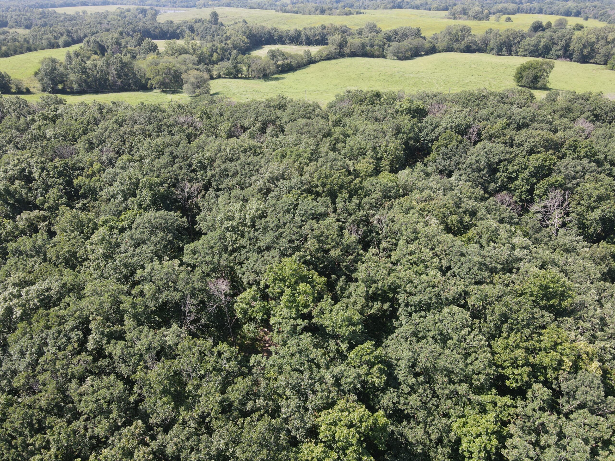 Country Home with 20 m/l acres in Putnam County, MO