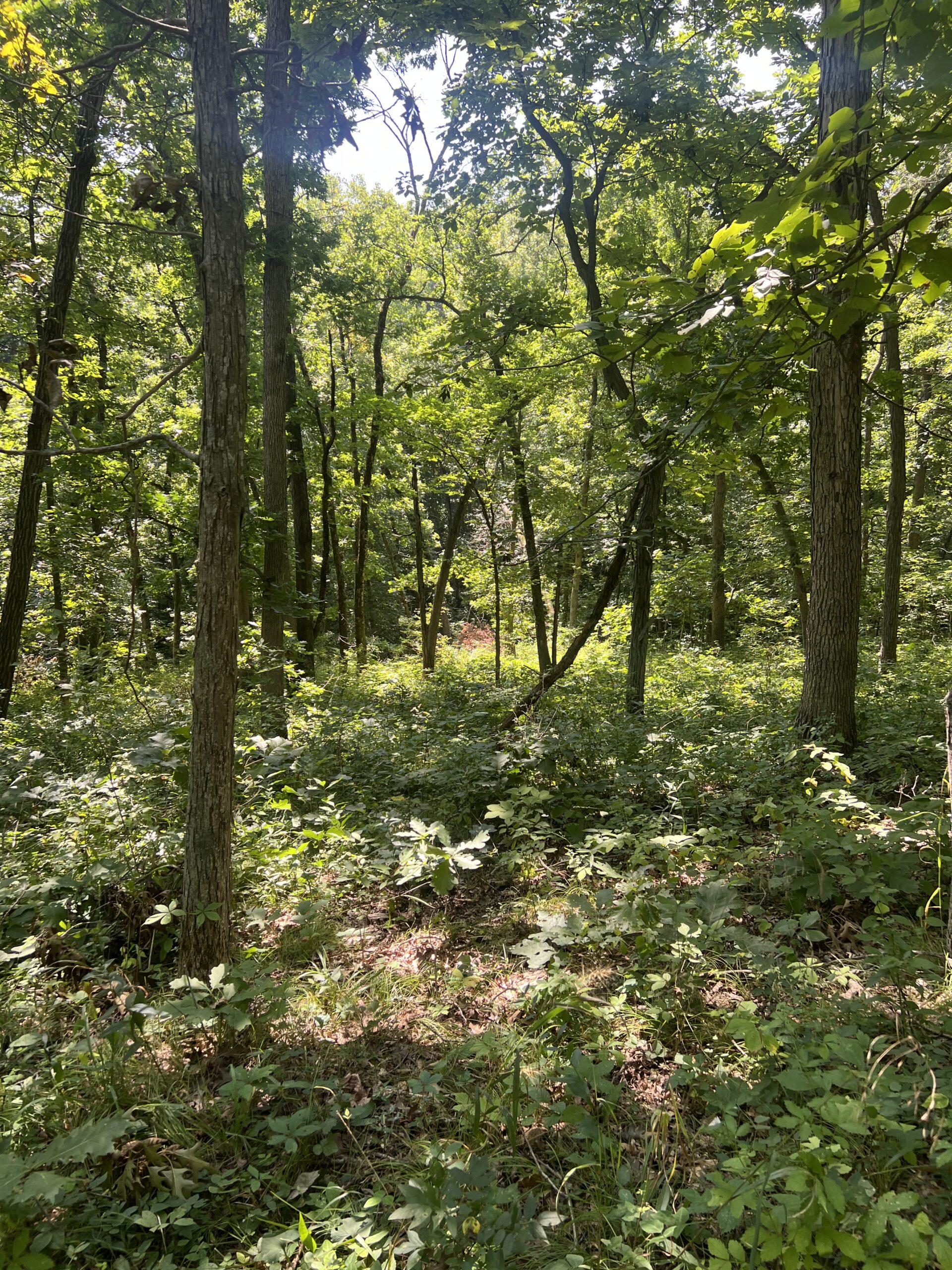 Country Home with 20 m/l acres in Putnam County, MO