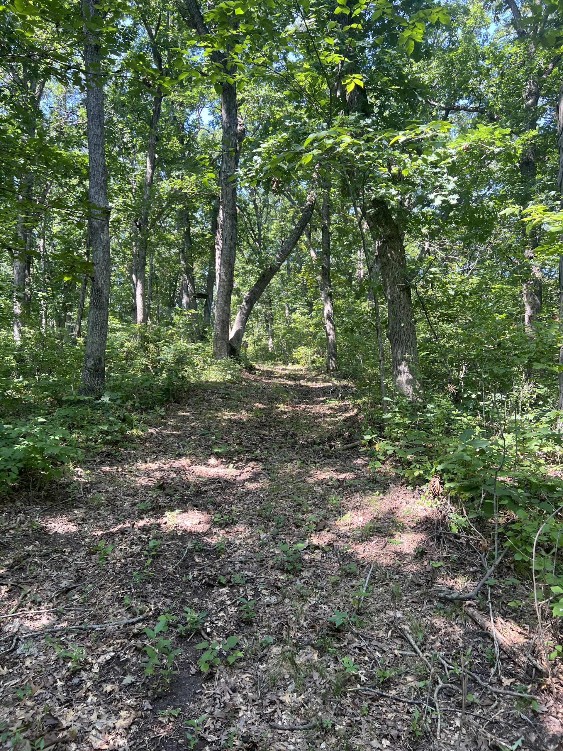 Country Home with 20 m/l acres in Putnam County, MO