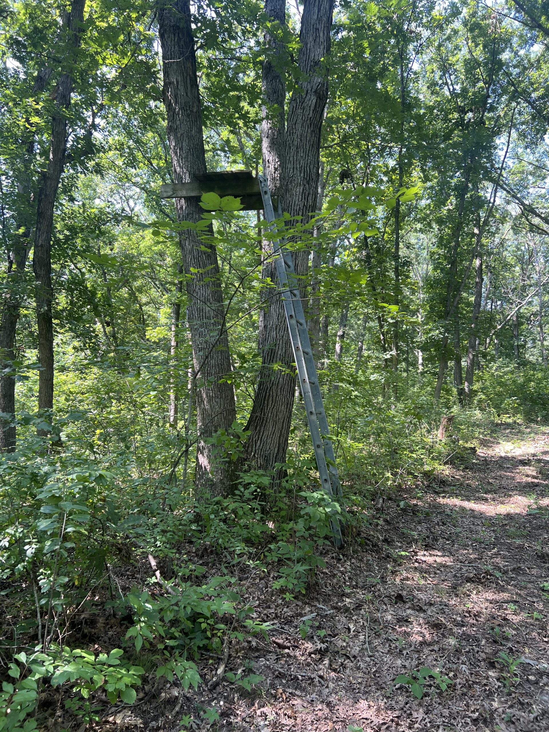 Country Home with 20 m/l acres in Putnam County, MO