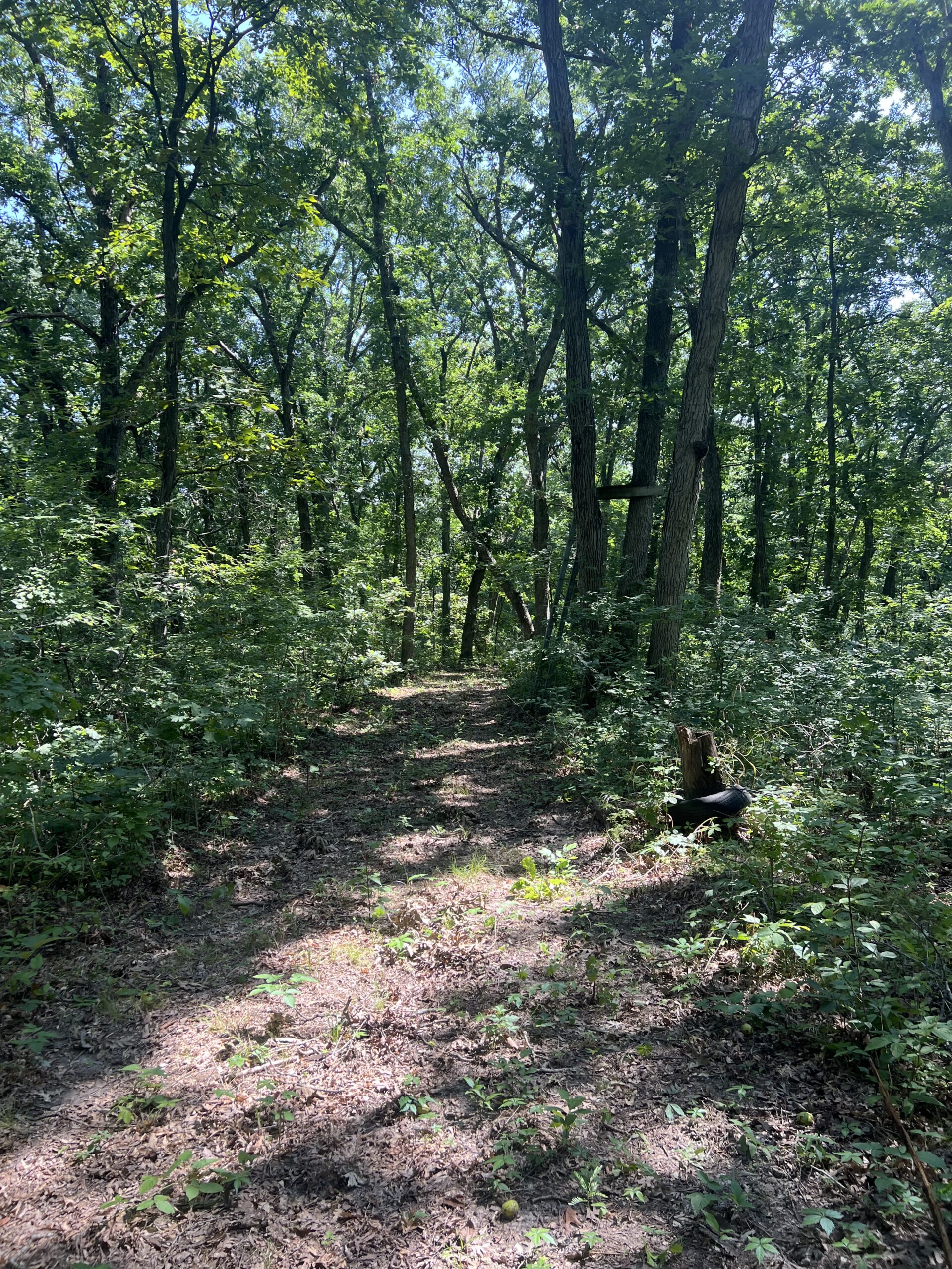 Country Home with 20 m/l acres in Putnam County, MO