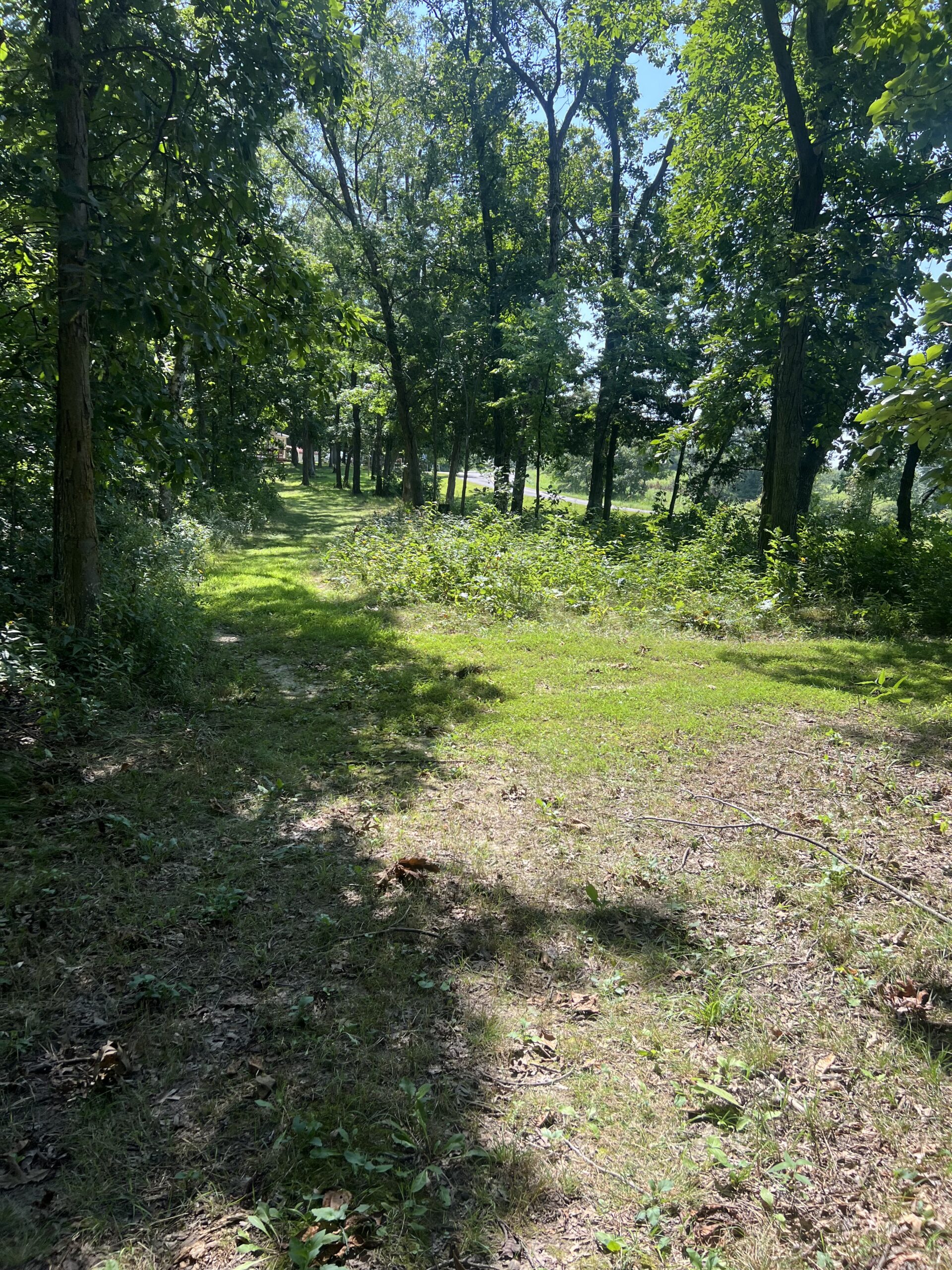 Country Home with 20 m/l acres in Putnam County, MO