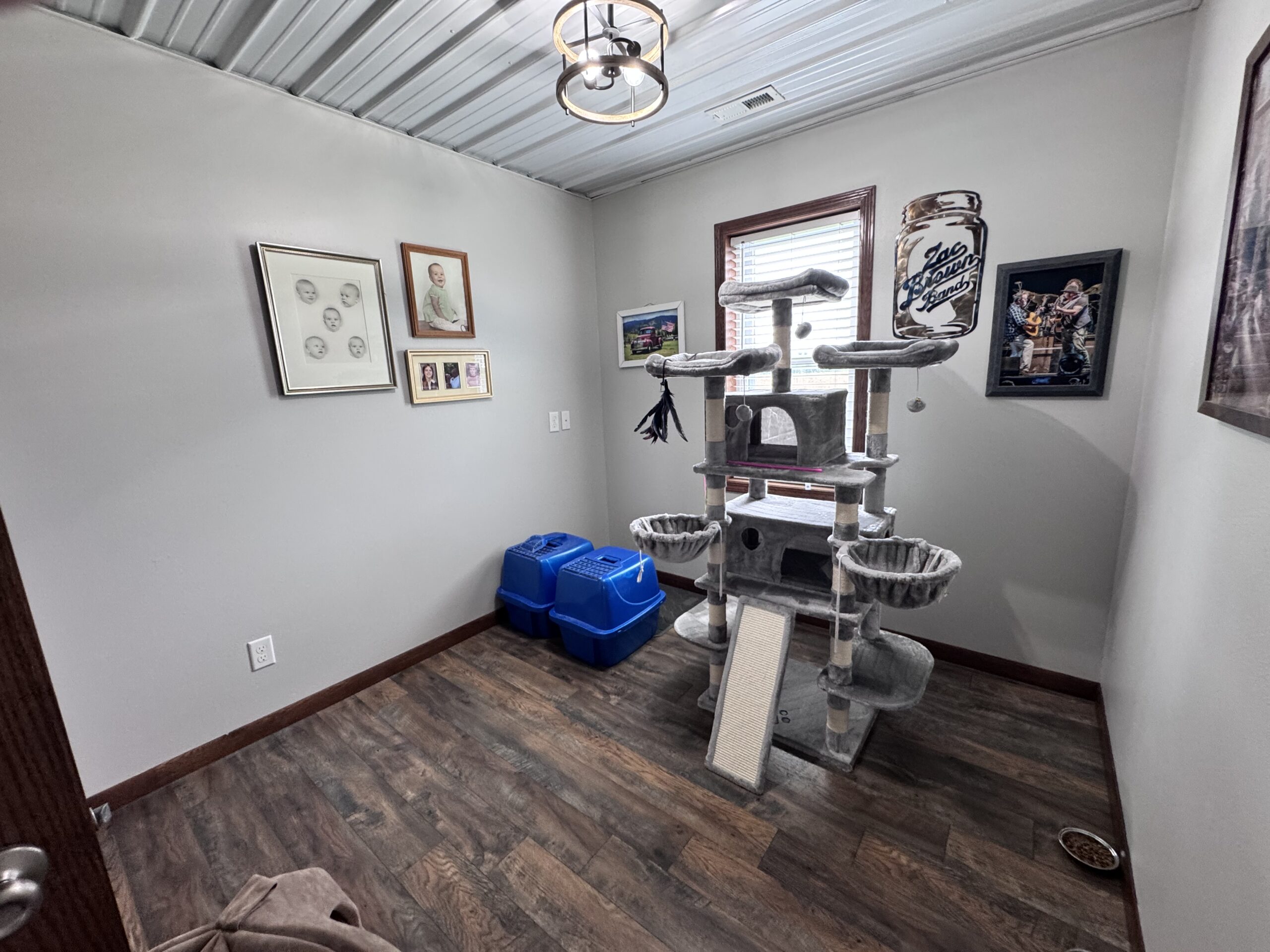Dream Countryside Home + Guest Home in Moulton, IA