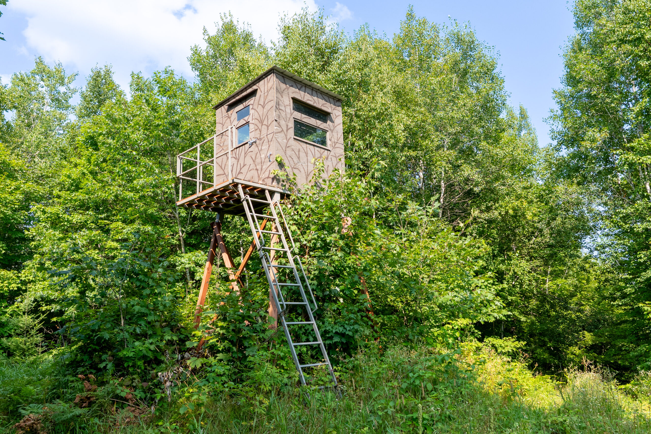 Lakefront Acreage With Cabin For Sale in Northern Wisconsin