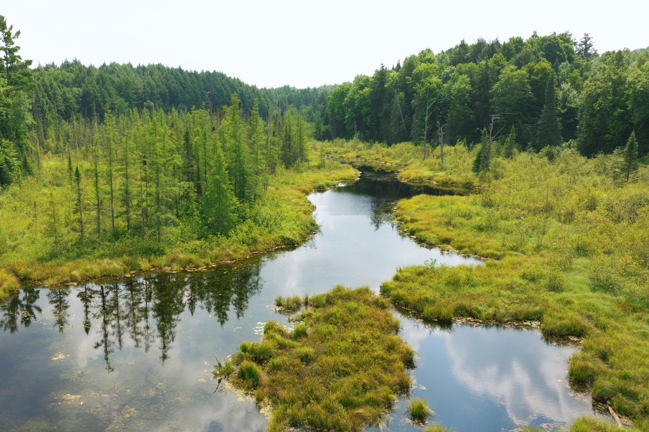 Lakefront Acreage With Cabin For Sale in Northern Wisconsin