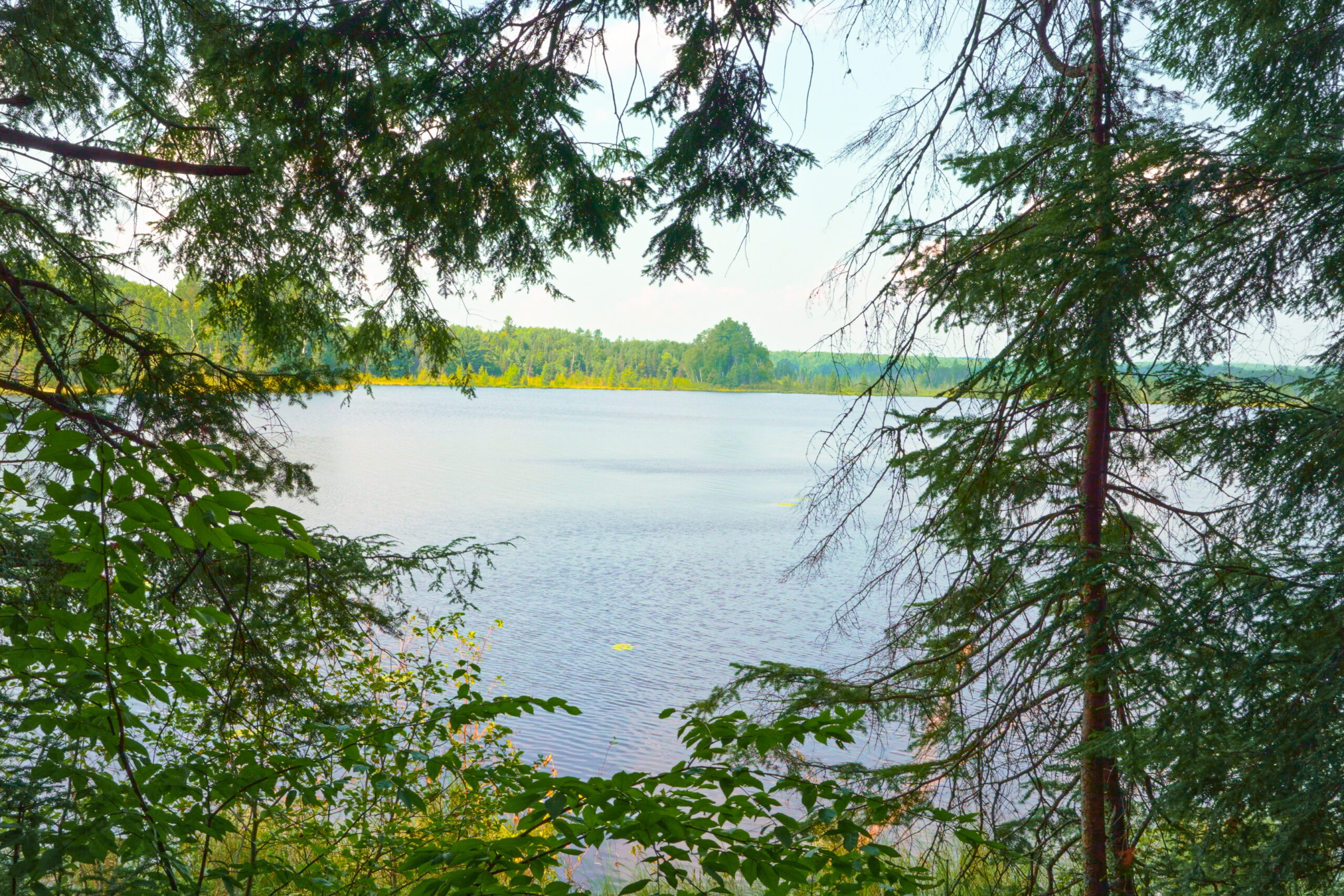 Lakefront Acreage With Cabin For Sale in Northern Wisconsin