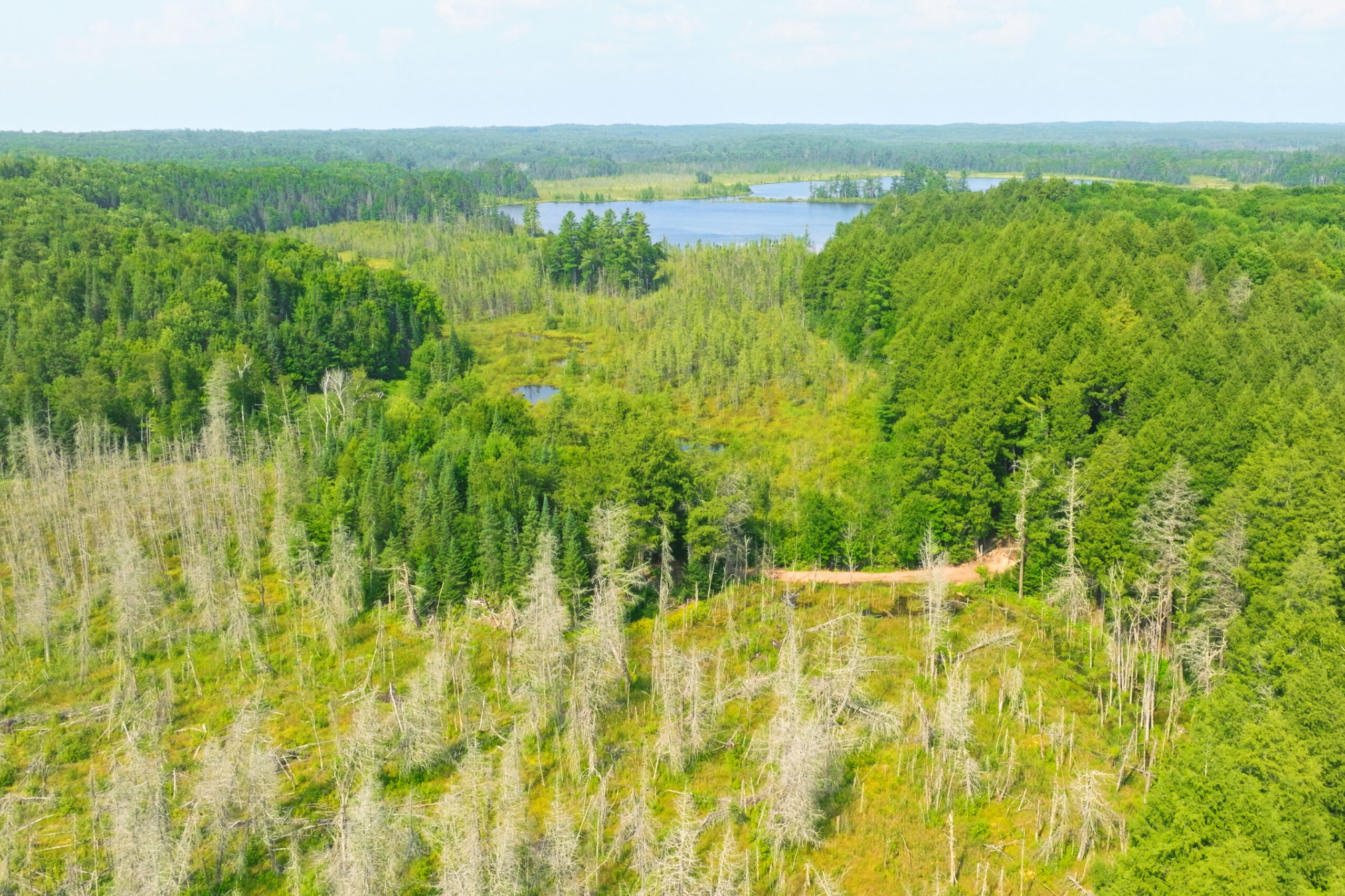 Lakefront Acreage With Cabin For Sale in Northern Wisconsin