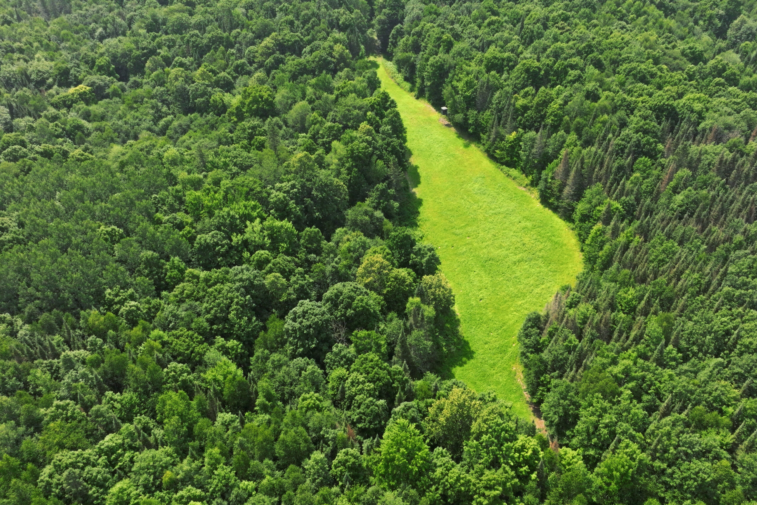 Lakefront Acreage With Cabin For Sale in Northern Wisconsin