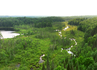 Lakefront Acreage With Cabin For Sale in Northern Wisconsin