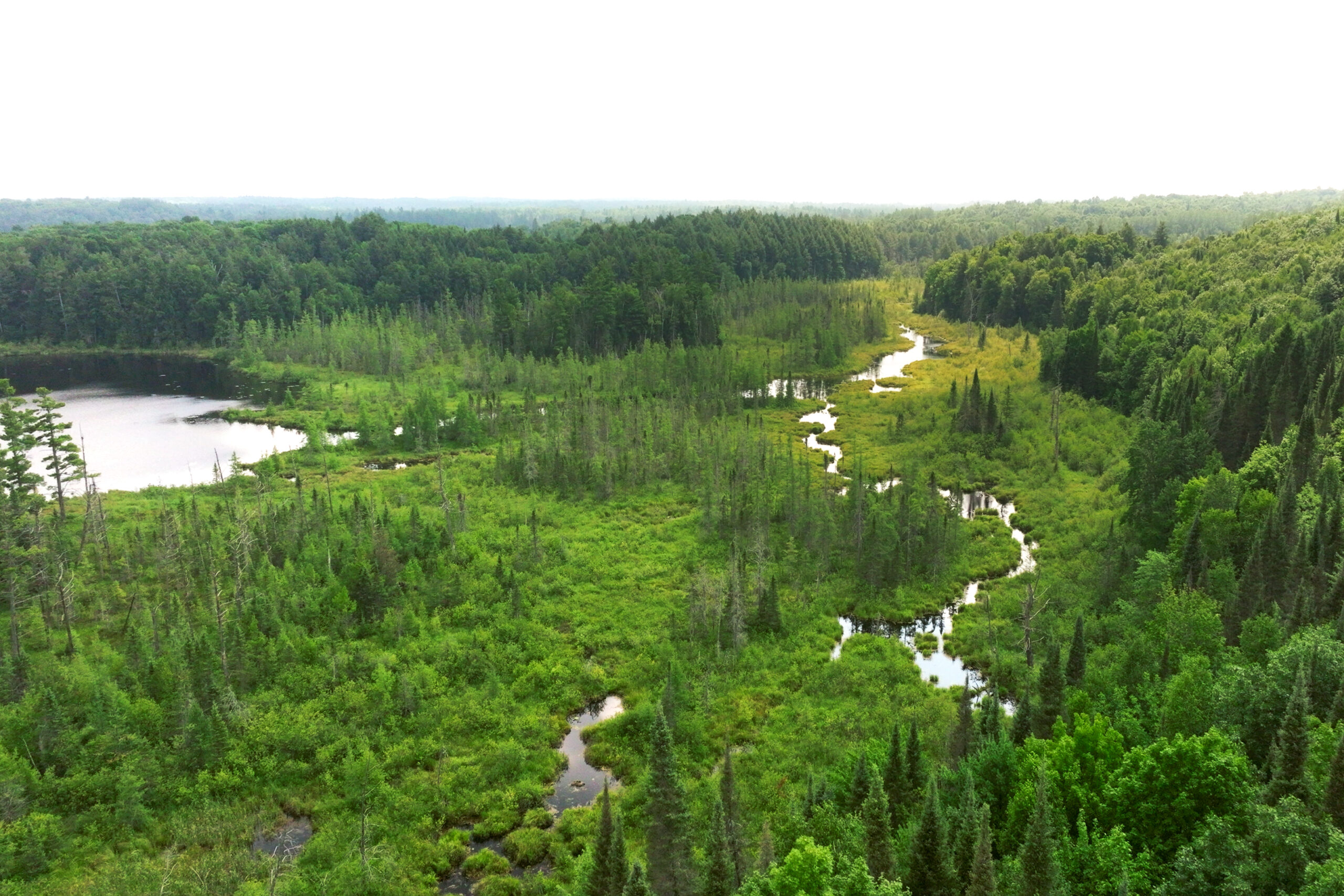 Lakefront Acreage With Cabin For Sale in Northern Wisconsin