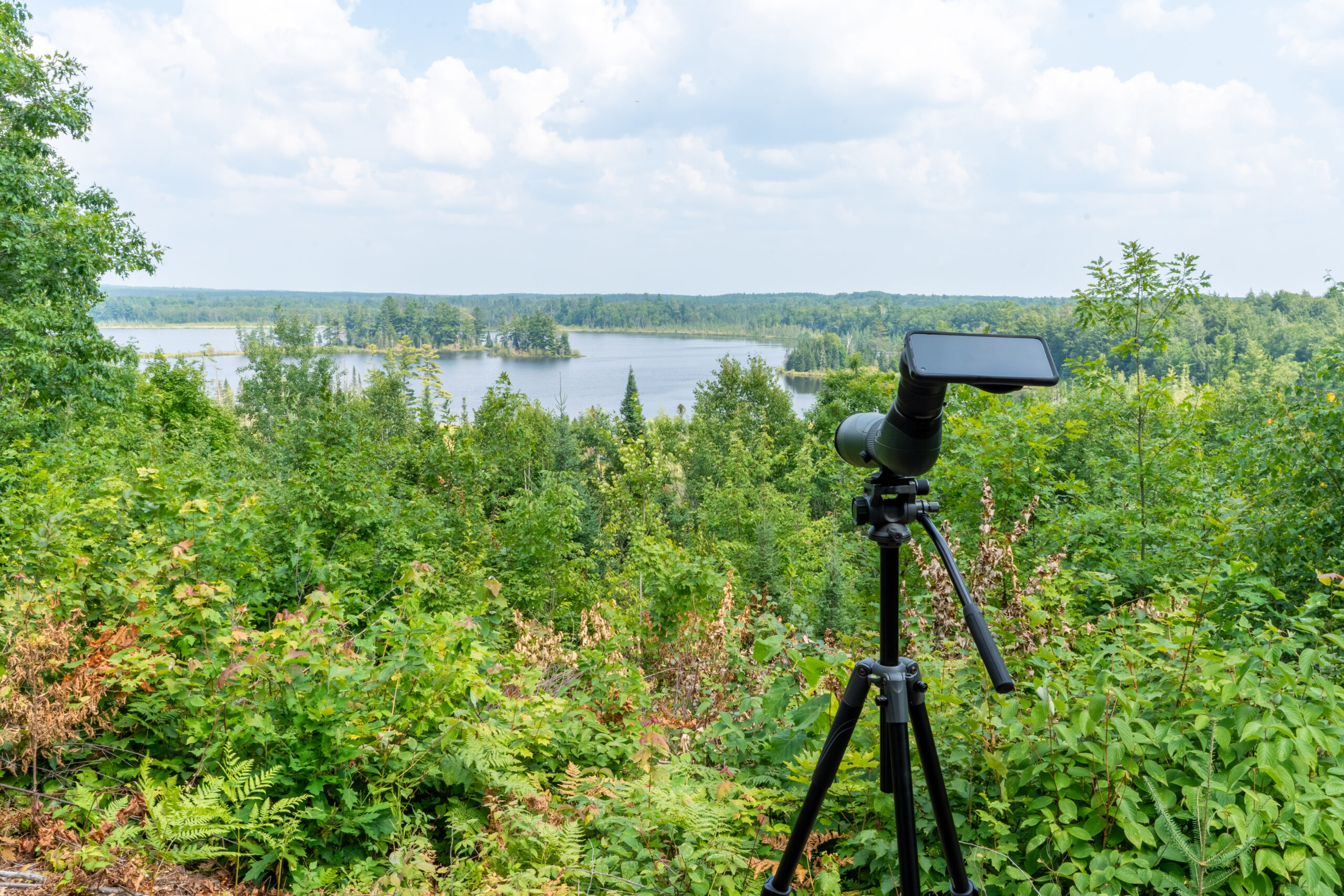 Lakefront Acreage With Cabin For Sale in Northern Wisconsin