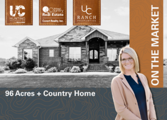 Country Home and 96 Acres in Hector, Arkansas