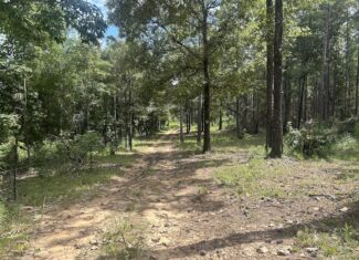 42 Acres in Autauga County – Secluded, Fenced, and Hunting Ready