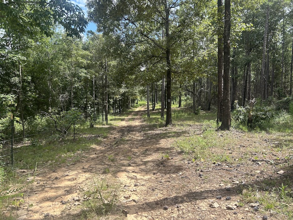 42 Acres in Autauga County – Secluded, Fenced, and Hunting Ready