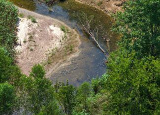 210 Acre Turn-Key Recreational Property for Sale in Dayton, Alabama