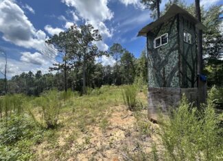 42 Acres in Autauga County – Secluded, Fenced, and Hunting Ready