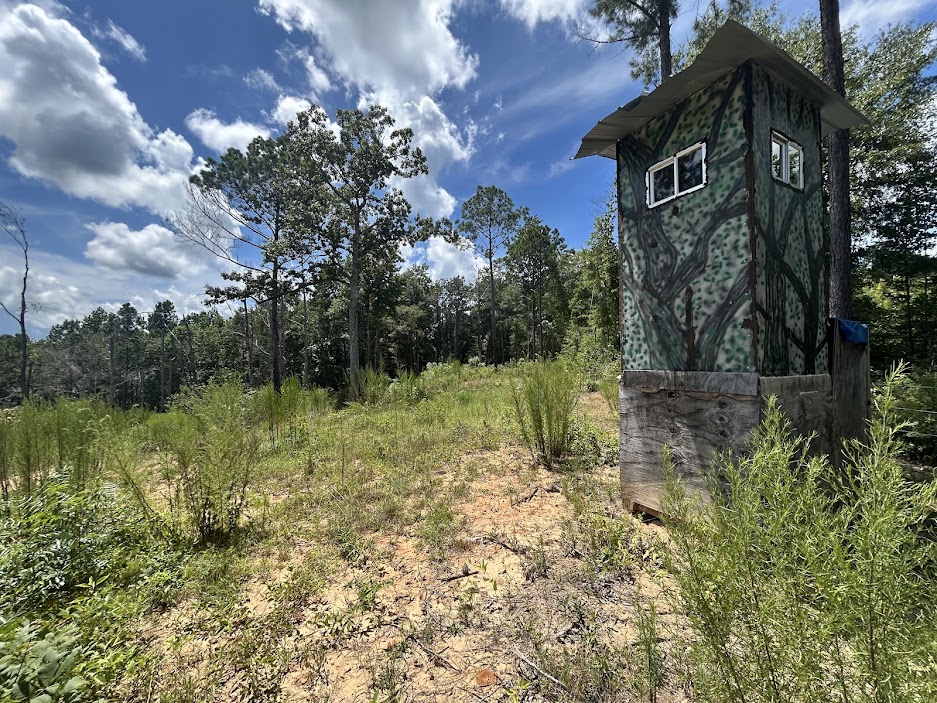 42 Acres in Autauga County – Secluded, Fenced, and Hunting Ready