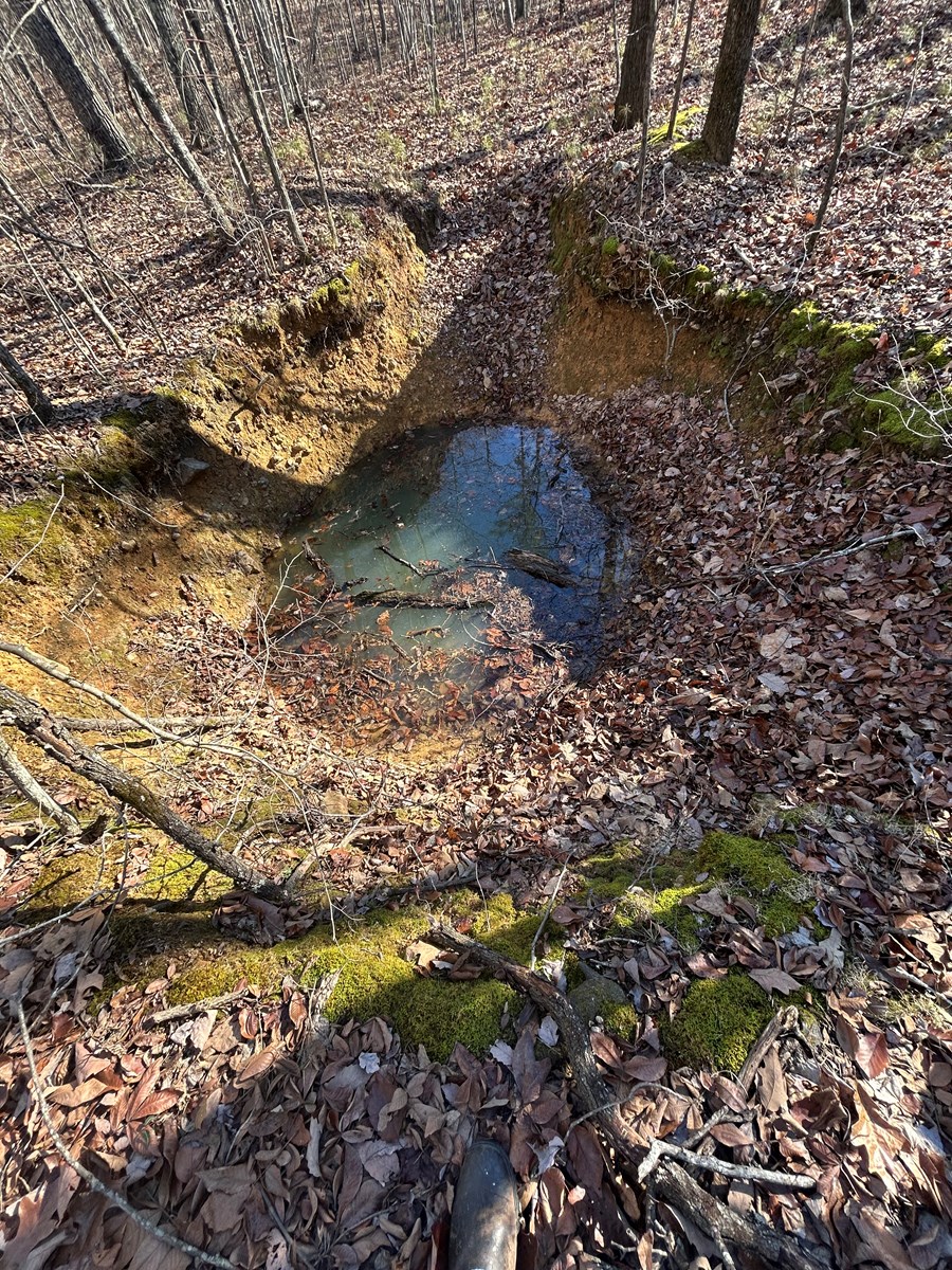 40 Acres of Harwood Timber in Talladega, Alabama