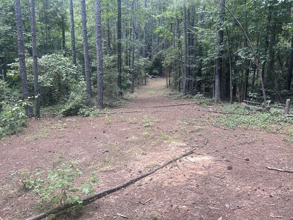 42 Acres in Autauga County – Secluded, Fenced, and Hunting Ready