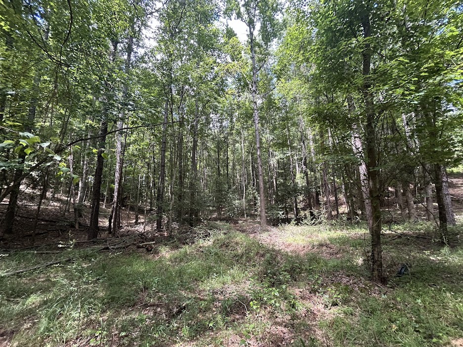 42 Acres in Autauga County – Secluded, Fenced, and Hunting Ready