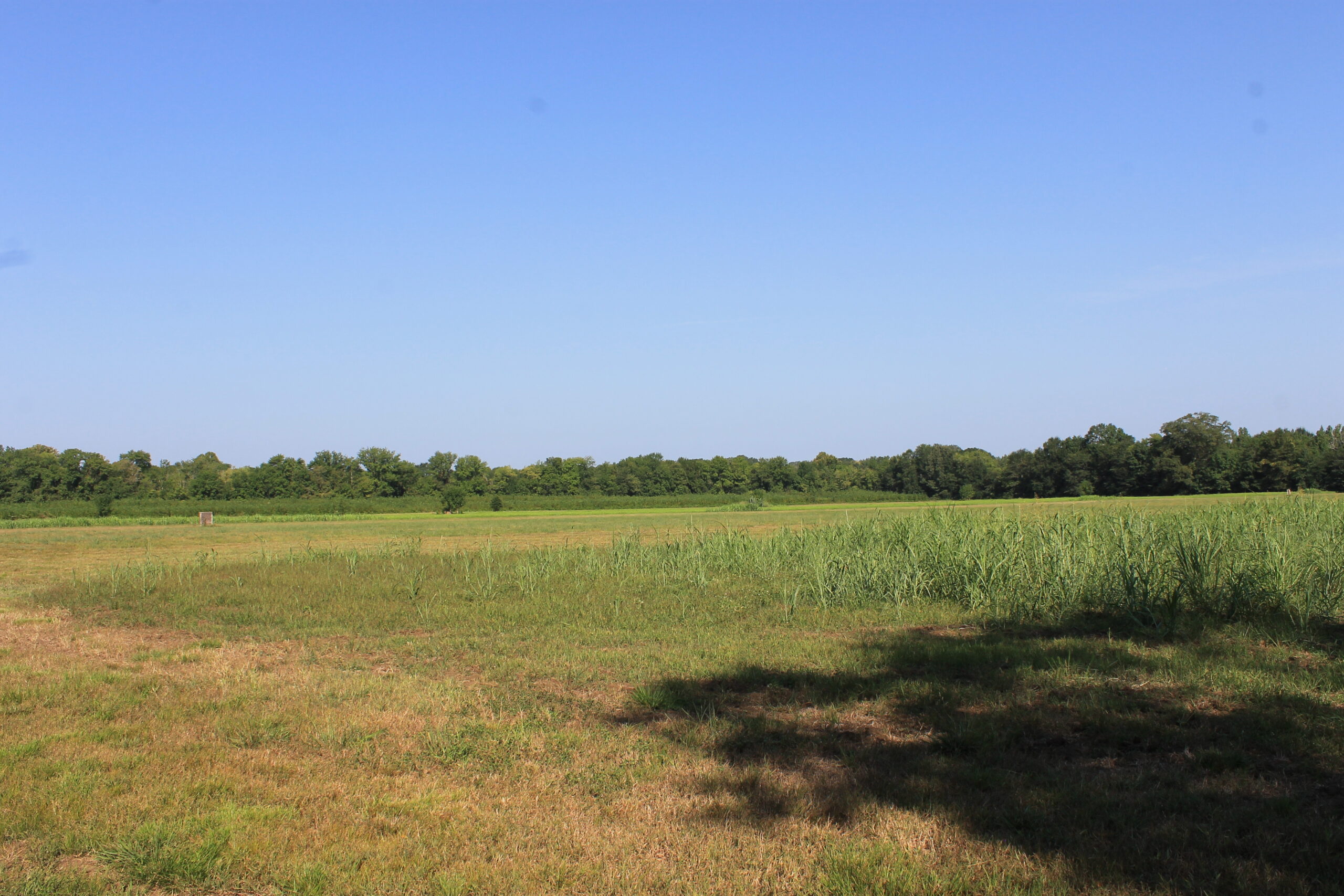 210 Acre Turn-Key Recreational Property for Sale in Dayton, Alabama
