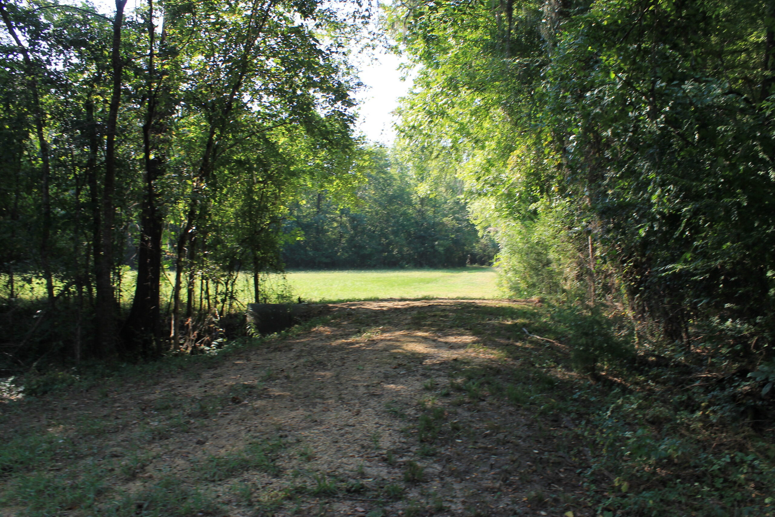 210 Acre Turn-Key Recreational Property for Sale in Dayton, Alabama