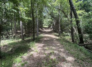 42 Acres in Autauga County – Secluded, Fenced, and Hunting Ready