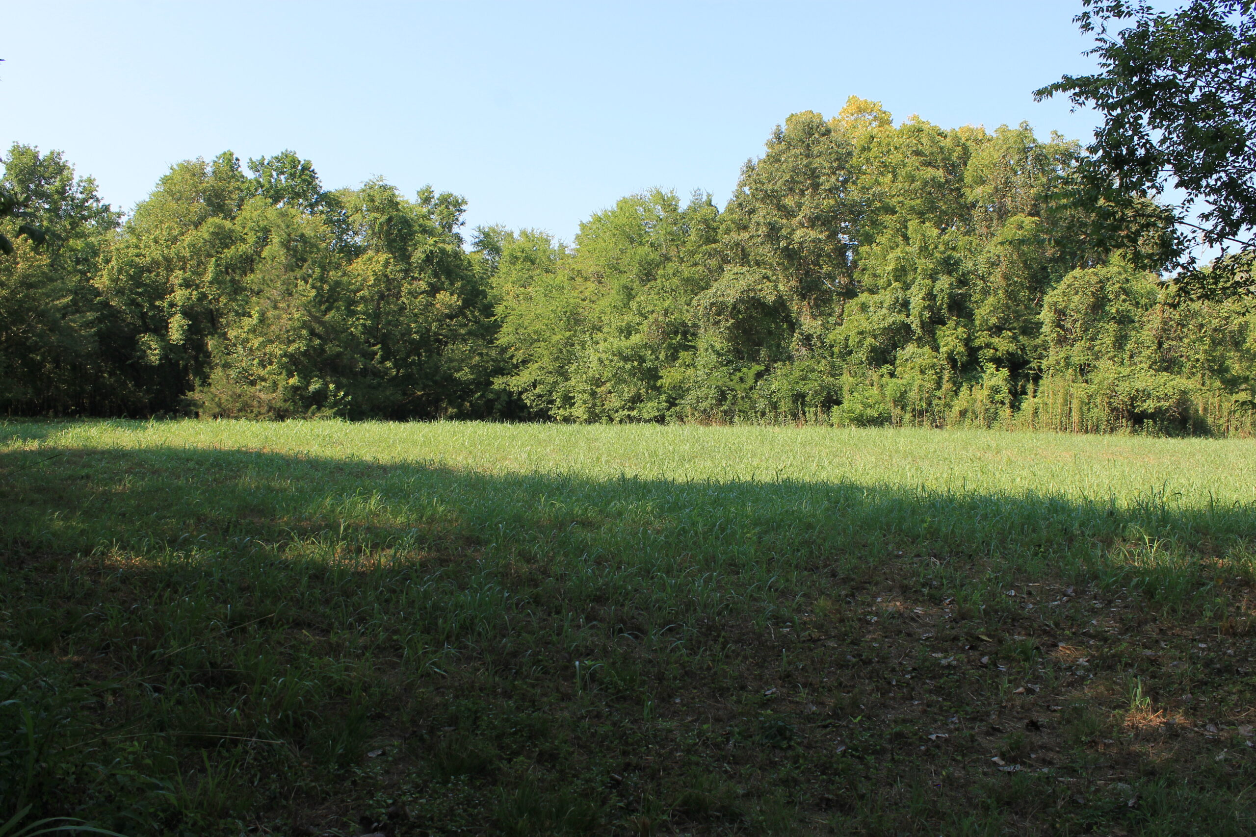 210 Acre Turn-Key Recreational Property for Sale in Dayton, Alabama