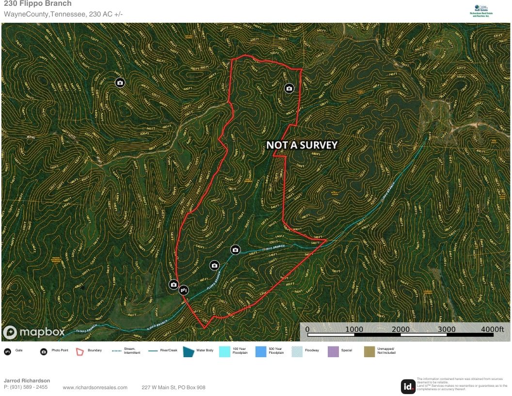 231.15 Acre Timber Land for Sale in Clifton, Tennessee