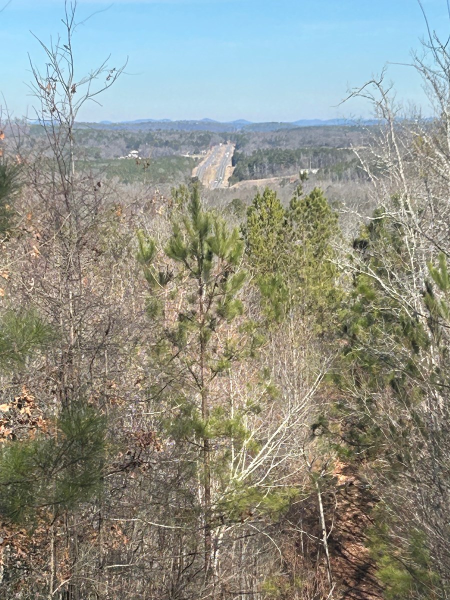 40 Acres of Harwood Timber in Talladega, Alabama