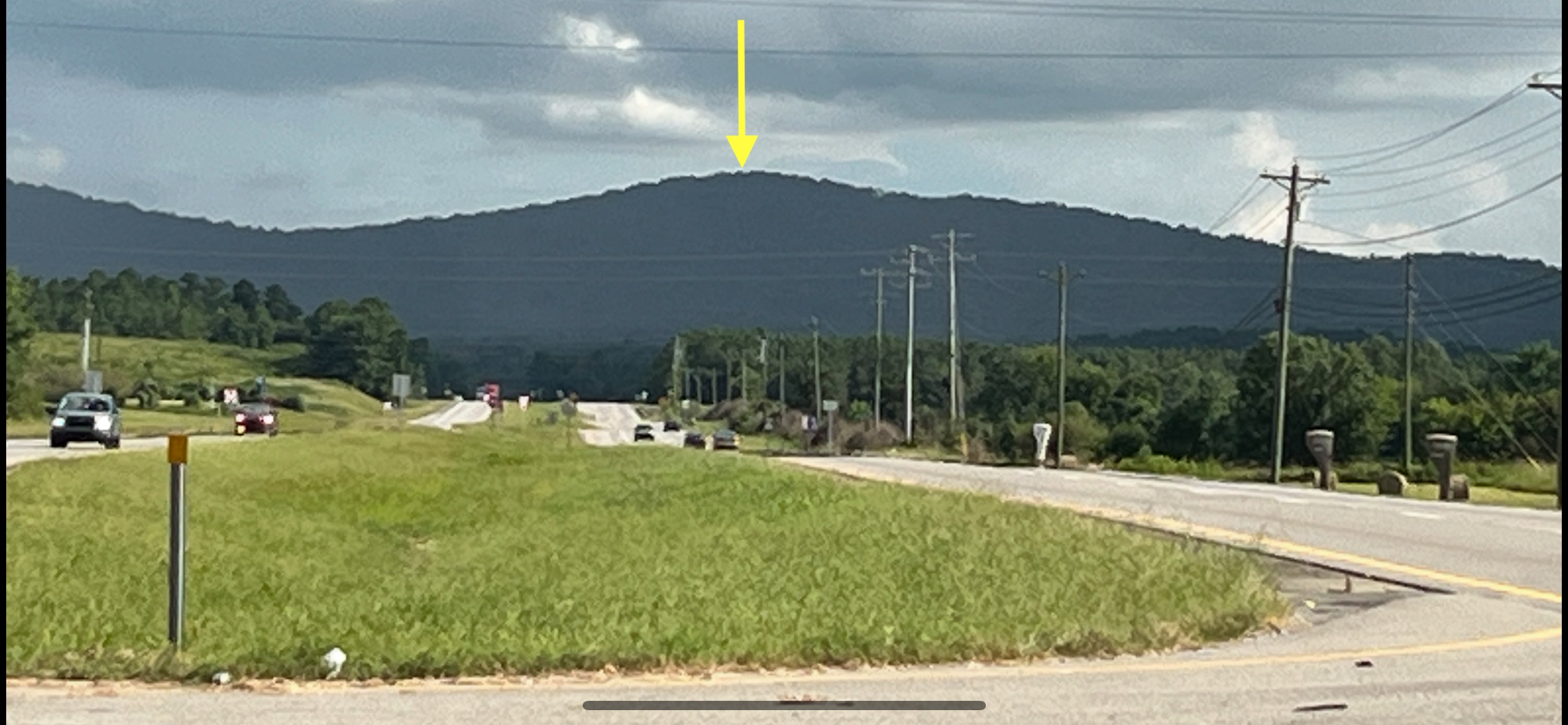 40 Acres of Harwood Timber in Talladega, Alabama