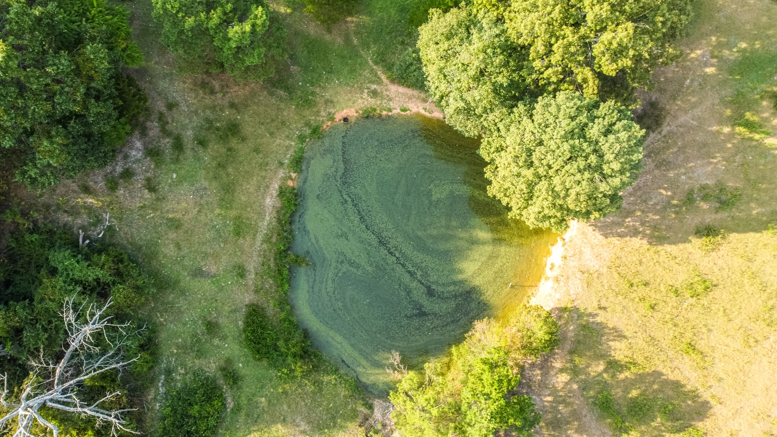 17 Acres Fenced Land with Ponds in Searcy County, Ar for Sale