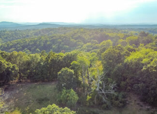 17 Acres Fenced Land with Ponds in Searcy County, Ar for Sale