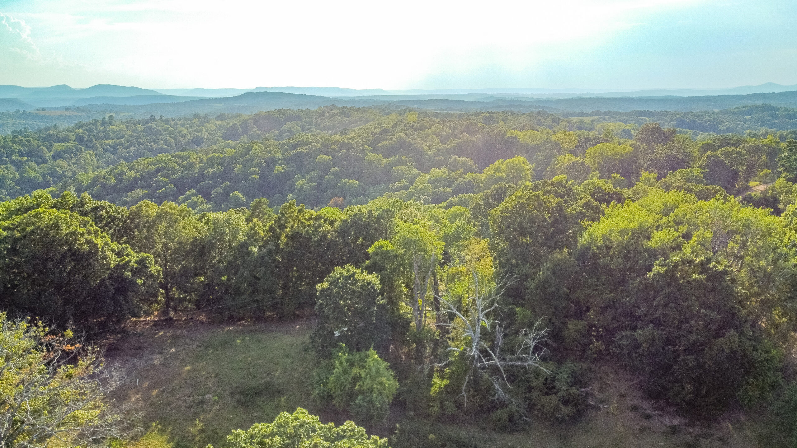 17 Acres Fenced Land with Ponds in Searcy County, Ar for Sale