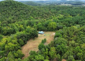 LOG CABIN AND HUNTING LAND FOR SALE IN NORTH CENTRAL ARKANSAS