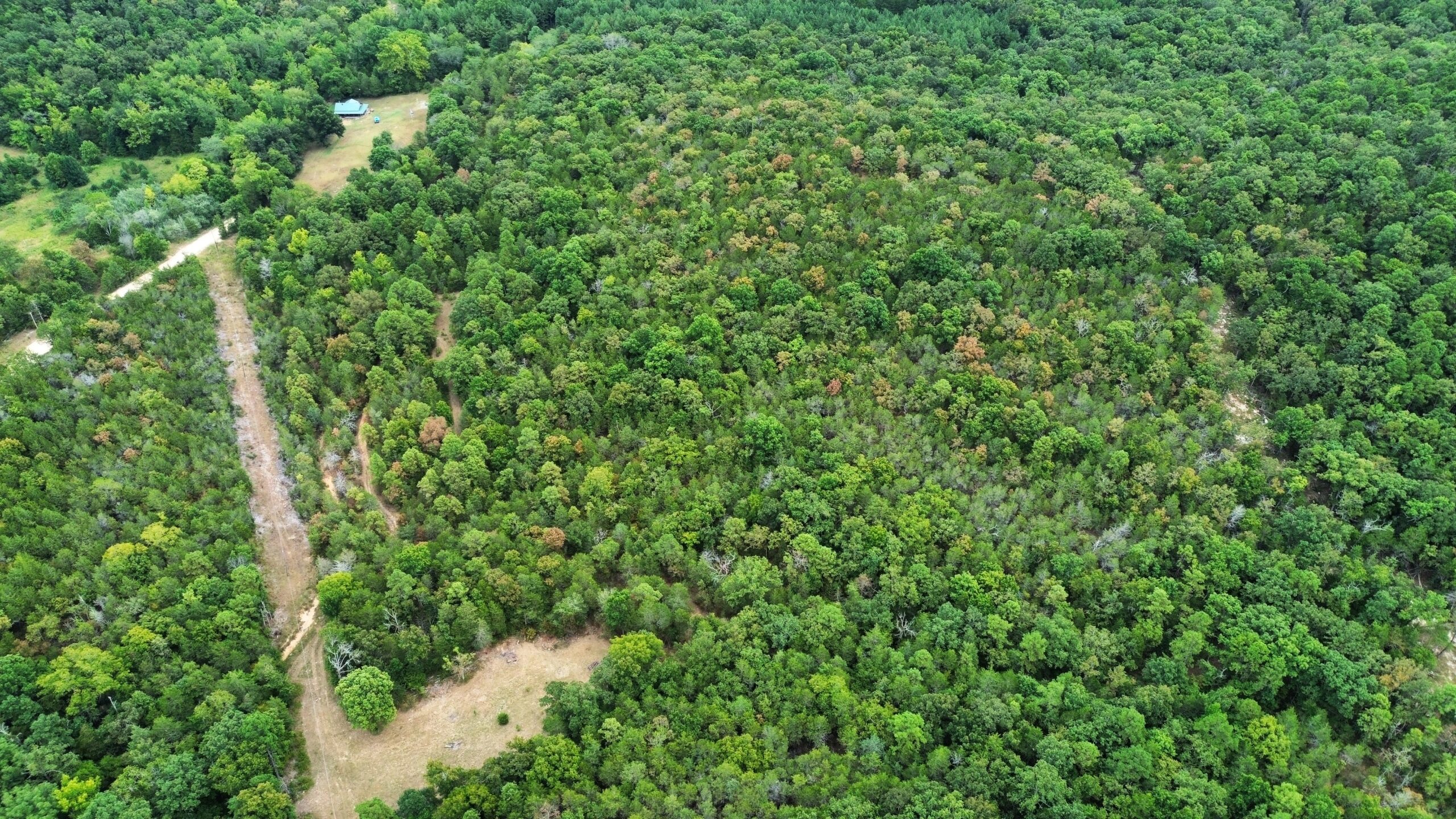 LOG CABIN AND HUNTING LAND FOR SALE IN NORTH CENTRAL ARKANSAS