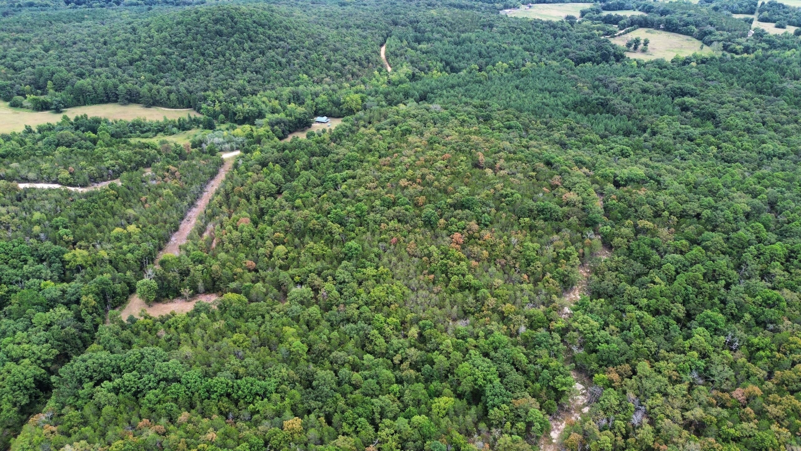 LOG CABIN AND HUNTING LAND FOR SALE IN NORTH CENTRAL ARKANSAS