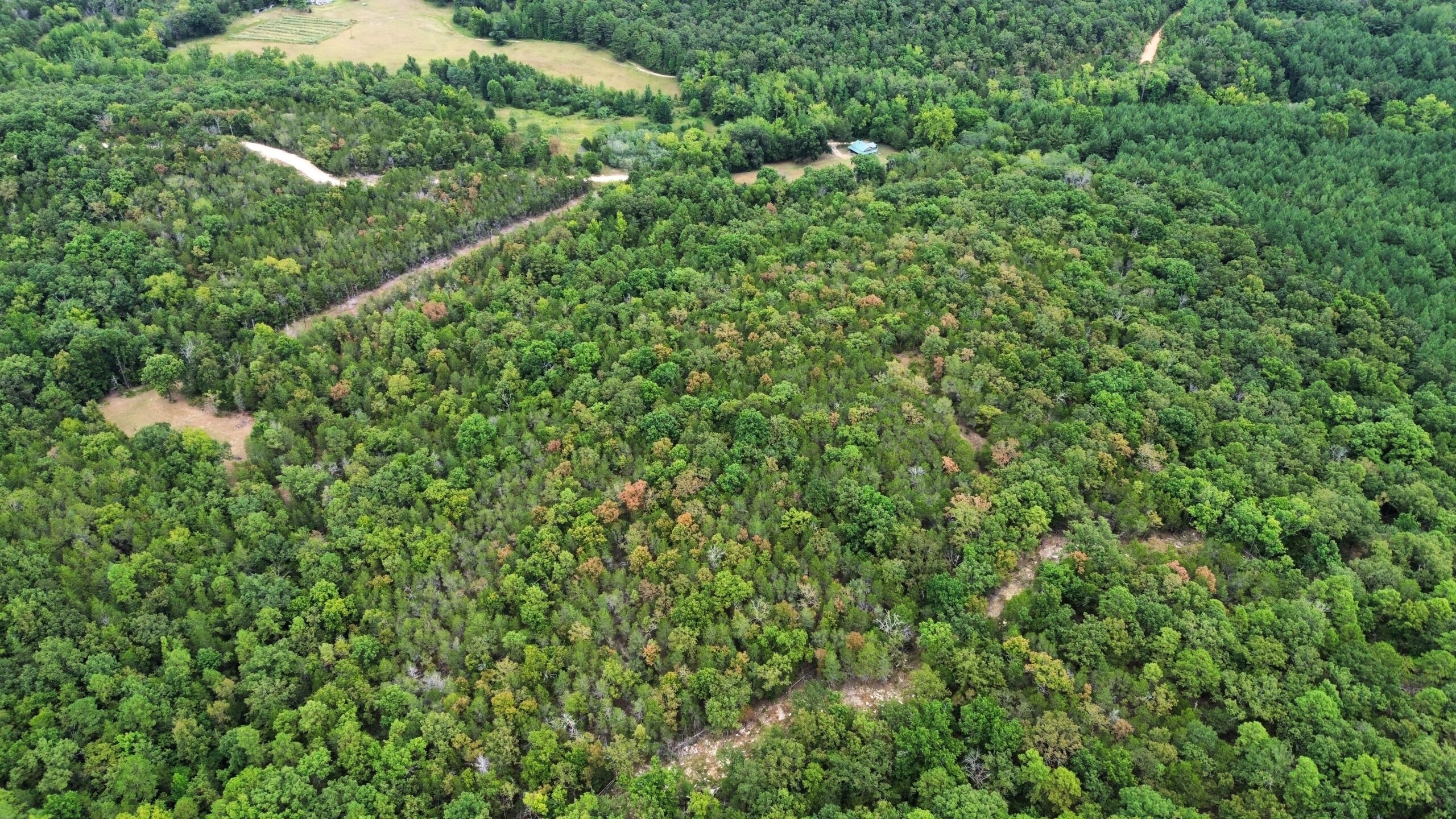 LOG CABIN AND HUNTING LAND FOR SALE IN NORTH CENTRAL ARKANSAS
