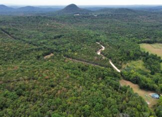 LOG CABIN AND HUNTING LAND FOR SALE IN NORTH CENTRAL ARKANSAS