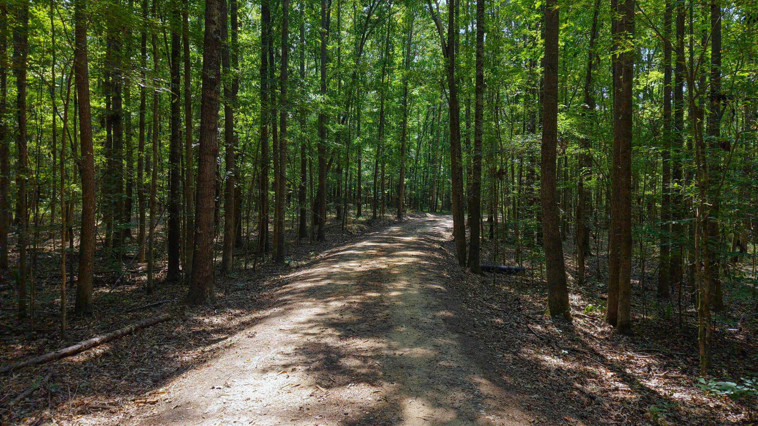 210 Acre Turn-Key Recreational Property for Sale in Dayton, Alabama